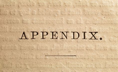 Definition of Appendix in a Book or Written Work