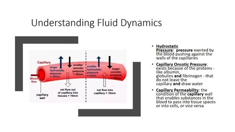 Pulmonary Edema Pathophysiology