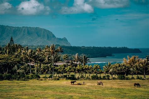 9 of the Best Things to Do On Kauai's North Shore • Amanda Wanders