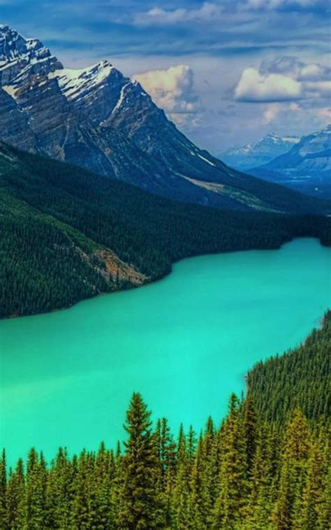 Nature Lock screen Wallpaper for Android - APK Download