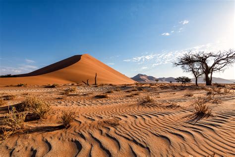 Sand Dunes, Namibia - Between Sesriem and Sossusvlei in Namibia, you drive between towering sand ...