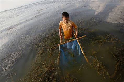 How Pollution is Devastating an Indonesian Lake - Yale E360