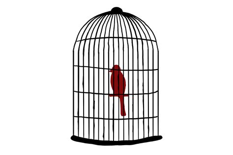 Caged Bird, Flight, Dreams, Spirit, Pain PNG