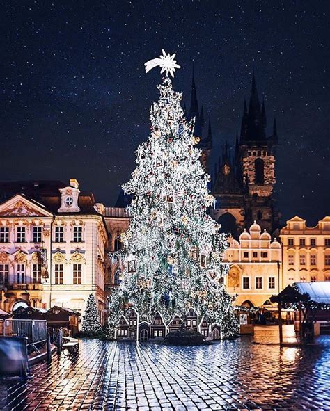 This Christmas tree in Prague will take your breath away. | Photo ...