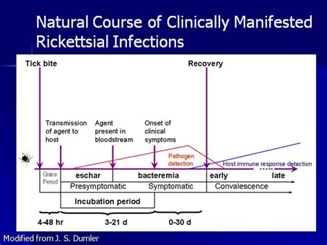 New Twists in the Molecular Diagnosis and Epidemiology of Rickettsial Diseases by Marina E ...