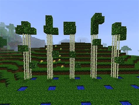 Bamboo forest biome Minecraft Map