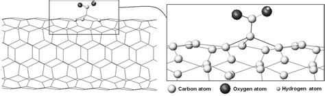 Illustration of a-COOH functional group on CNT surface (PourAkbar... | Download Scientific Diagram