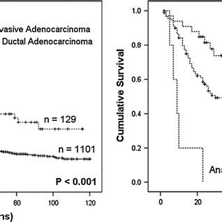 IPMN-associated pancreatic cancers tend to have a better prognosis... | Download Scientific Diagram