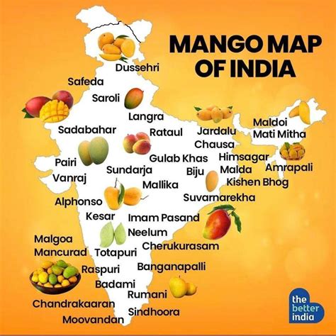 Mango season is here! Here is a map of mango varieties!! : r/MapPorn