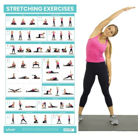 Stretching Workout Poster - 52 Exercises - Vive Health