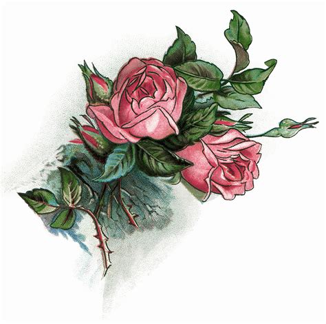 Free Vintage Roses Images, Download Free Vintage Roses Images png images, Free ClipArts on ...