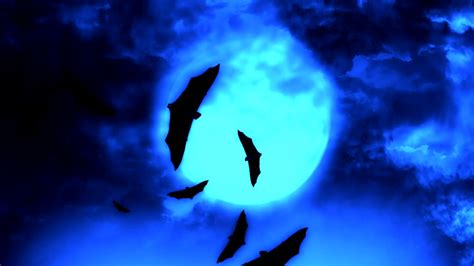 Stock Video Bats Flying Under The Blue Full Moon Live Wallpaper For PC ...