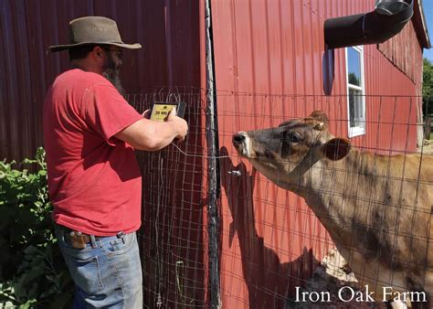 How To Install An Electric Fence