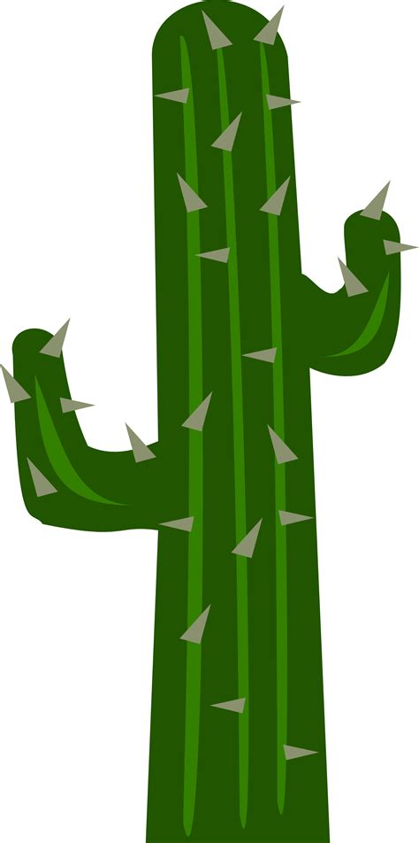 Clip art Cactus Transparency Vector graphics Portable Network Graphics - cactus png download ...