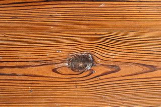 HI-RES TEX 634111 Vintage wood texture | Vintage Mahoney woo… | Flickr