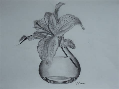 Elena Whitman | Flower vase drawing, Flower drawing, Sketches