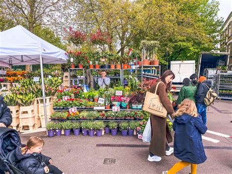 Edinburgh Flower Market Opening Hours | Best Flower Site