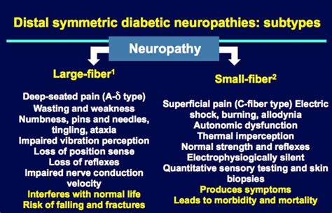 What Is Sensory Motor Neuropathy | Webmotor.org