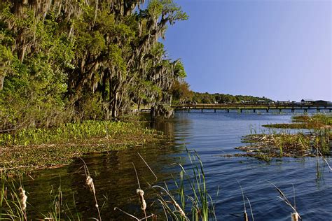 St Johns River Florida Photograph by Christine Till