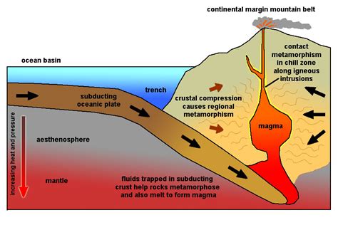 What Is the Relationship Between Metamorphism and Plate Tectonics ...