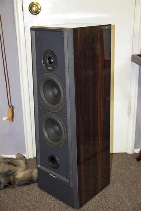 Help me identify these polks — Polk Audio