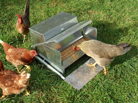 Grandpa's Feeders Automatic Chicken Feeder - Sturdy Galvanized Steel ...