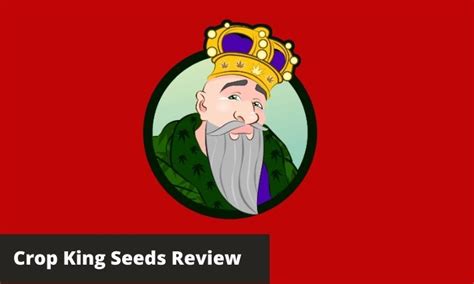 Crop King Seeds Review 2021 [My Experience] Good & Bad