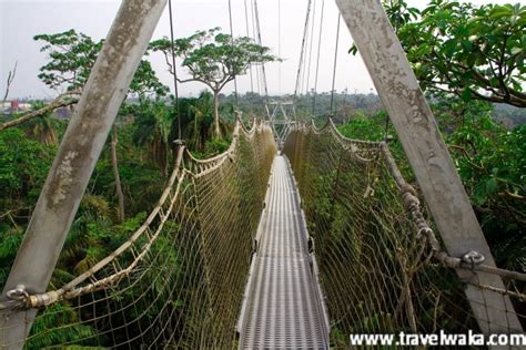 Amazing!!! Lekki Conservation Centre -A Trip To Africa's Longest Canopy ...