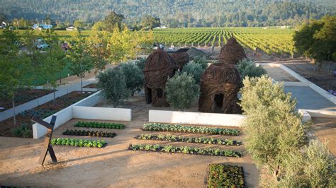 HALL Wines St. Helena – Winery Review | Condé Nast Traveler