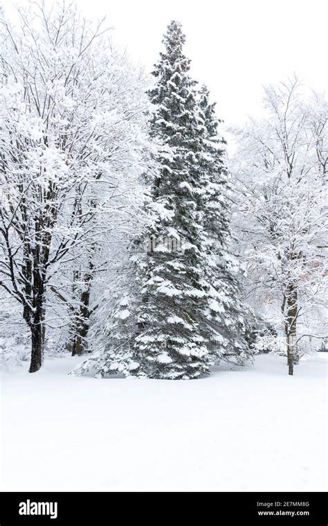 Winter in my Québec Stock Photo - Alamy