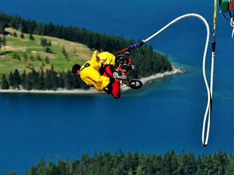 Bungy jump in New Zealand | Queenstown & Fiordland, South Island travel ...