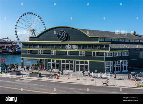 Seattle Aquarium, Seattle, Washington, USA Stock Photo - Alamy