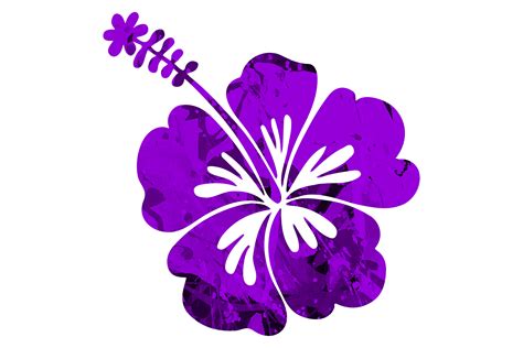 Purple Tropical Hibiscus Hawaiian Flower Graphic by MVMET · Creative ...