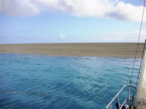 Pumice Raft Photograph by Fredrik Fransson/science Photo Library - Fine ...