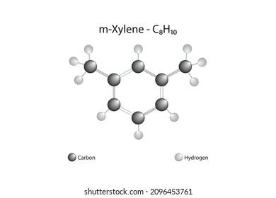 Molecular Formula Mxylene Mxylene Aromatic Hydrocarbon Stock Vector ...