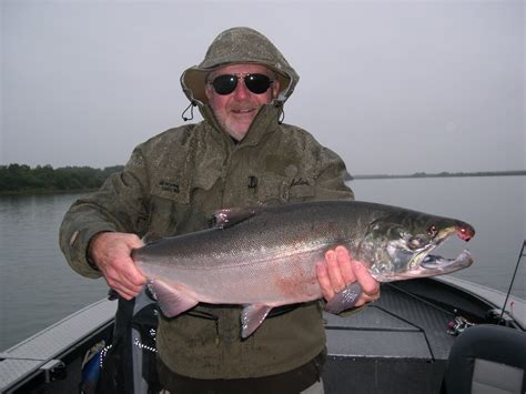 King Salmon , Alaska - Got Fishing