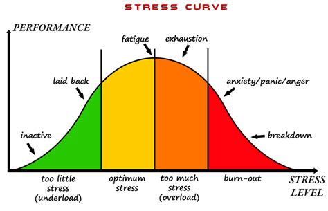 Stress - Biological - Units 3 & 4 Psychology