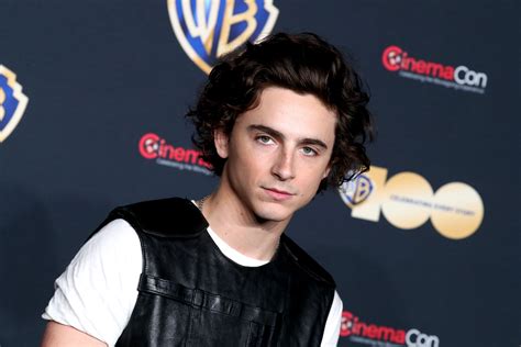 Timothee Chalamet New Movies, Projects: Updates, Roles