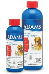 Kill Fleas on Dogs – The Best Flea Shampoo for Dogs