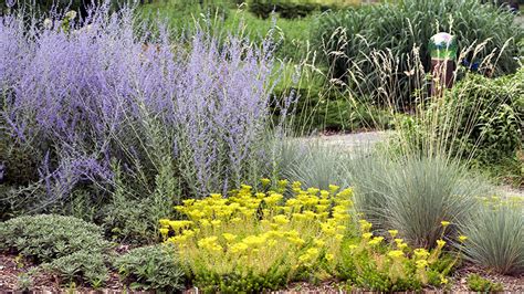 Drought-Tolerant Perennials | Garden Gate