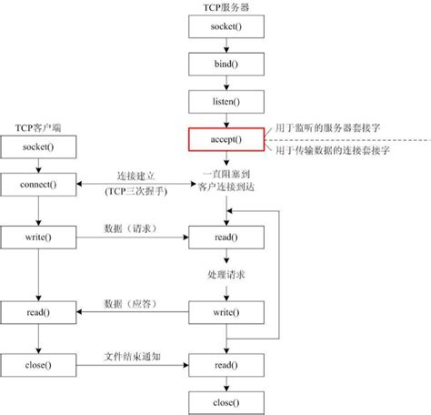 Python Socket 编程入门与演示 - Jamin Zhang