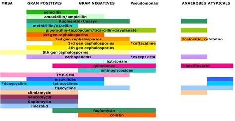 Antibiotic coverage chart | Antibiotics chart, Antibiotic, Pharmacology ...