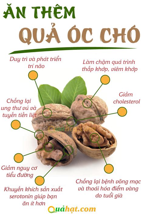 Quả óc chó Mỹ túi 1kg cao cấp dành cho bạn