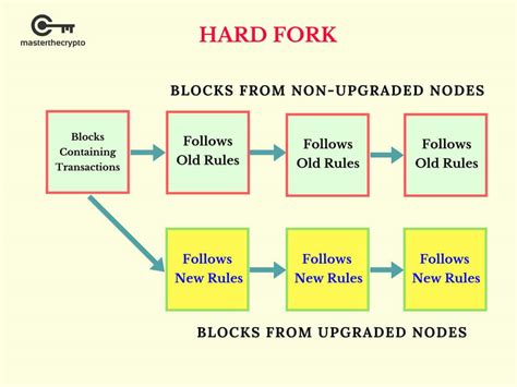 Guide to Forks: Everything You Need to Know About Forks, Hard Fork and ...