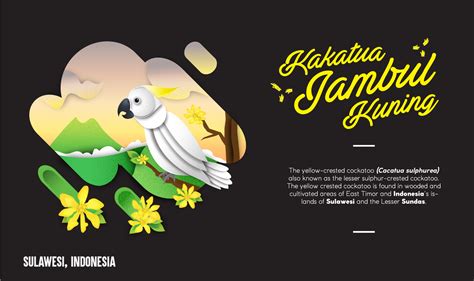 Indonesia "Bird Of Paradise" (part 1) on Behance