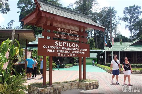 SEPILOK ORANG UTAN CENTRE DAY TRIP | Borneo Calling