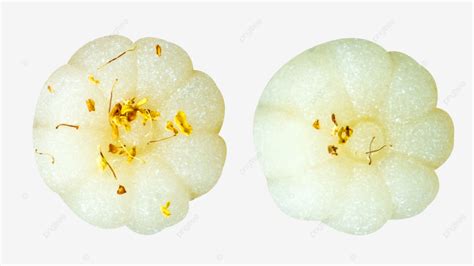 Sweet Scented Osmanthus Cake, Osmanthus Cake, Pastry, Dessert PNG Transparent Image and Clipart ...