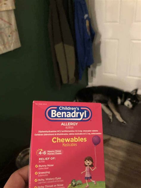 Is Benadryl Safe for Dogs? (Plus Eira’s First-Ever Benadryl Experience ...