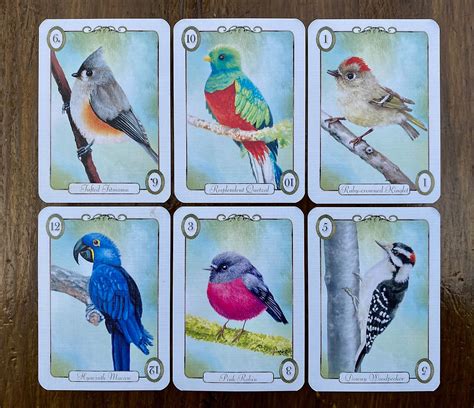 One Fowl Swoop Card Game Review