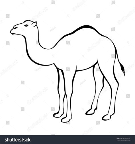 12,199 Camel Drawing Images, Stock Photos & Vectors | Shutterstock